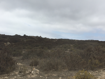Terreno Construccion  en Venta en El Panul - La Herradura