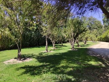 Parcela en Venta en Venta Hermosa Parcela en Lo Ermita 7000 m2 Calera de Tango