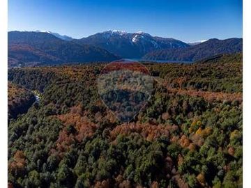 EN VENTA CASA EN PARCELA - HUILO HUILO PANGUIPULLI