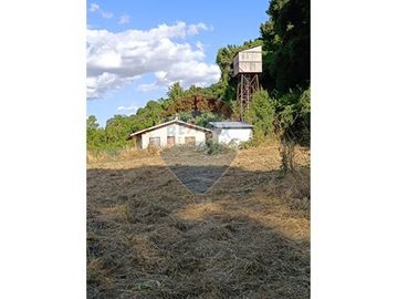 Descubre Tu Oasis en Rio Bueno