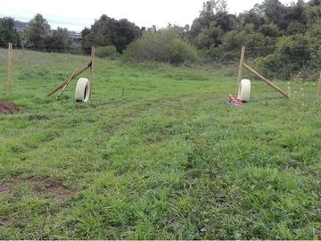 Descubre Tu Oasis en Rio Bueno