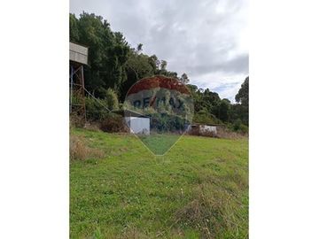 Descubre Tu Oasis en Rio Bueno