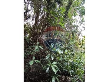 Descubre Tu Oasis en Rio Bueno