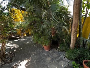 Casa en Venta, La Calma, 5 Recamaras