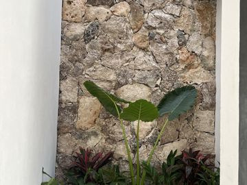 Casa en venta en Albare Temozón Norte Mérida Yucatán.
