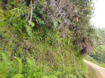 TERRENO  EN VENTA – REMATE DE OPORTUNIDAD EN TIANGUISTENGO, HIDALGO