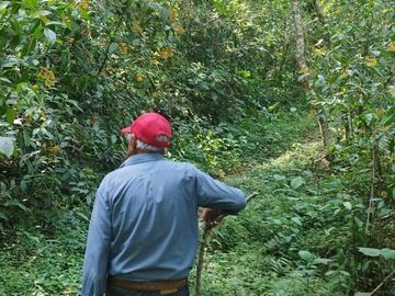 TERRENO  EN VENTA – REMATE DE OPORTUNIDAD EN TIANGUISTENGO, HIDALGO