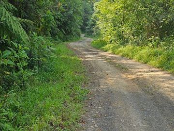 TERRENO  EN VENTA – REMATE DE OPORTUNIDAD EN TIANGUISTENGO, HIDALGO