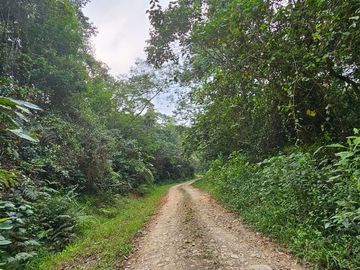 TERRENO  EN VENTA – REMATE DE OPORTUNIDAD EN TIANGUISTENGO, HIDALGO