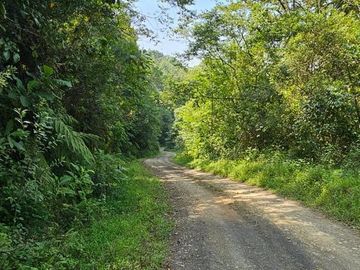 TERRENO  EN VENTA – REMATE DE OPORTUNIDAD EN TIANGUISTENGO, HIDALGO