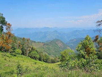 TERRENO  EN VENTA – REMATE DE OPORTUNIDAD EN TIANGUISTENGO, HIDALGO