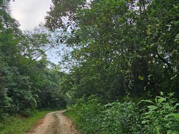 TERRENO  EN VENTA – REMATE DE OPORTUNIDAD EN TIANGUISTENGO, HIDALGO