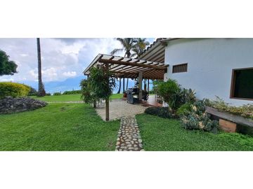 Vendo finca Fredonia Antioquia.