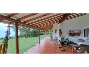 Vendo finca Fredonia Antioquia.
