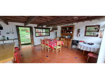 Vendo finca Fredonia Antioquia.