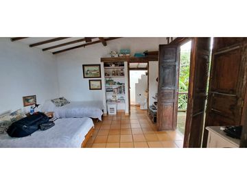 Vendo finca Fredonia Antioquia.