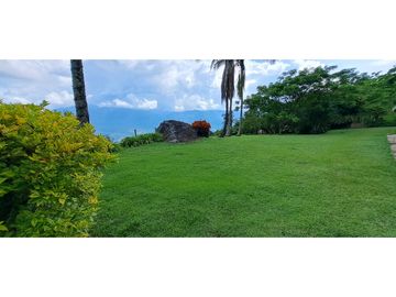 Vendo finca Fredonia Antioquia.