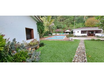 Vendo finca Fredonia Antioquia.