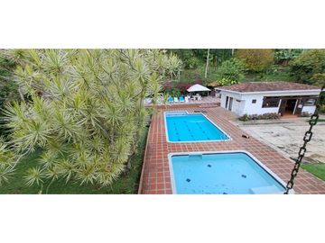 Vendo finca Fredonia Antioquia.