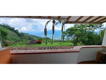 Vendo finca Fredonia Antioquia.