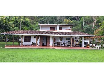 Vendo finca Fredonia Antioquia.