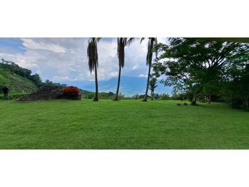 Vendo finca Fredonia Antioquia.
