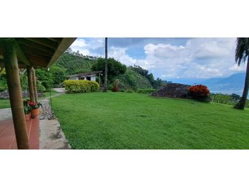 Vendo finca Fredonia Antioquia.