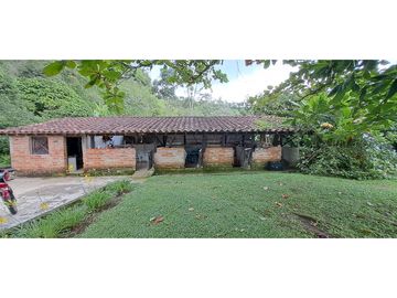 Vendo finca Fredonia Antioquia.
