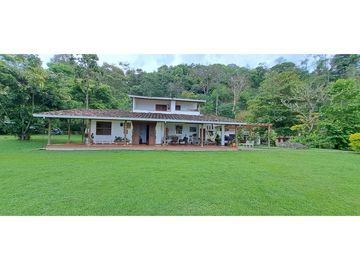 Vendo finca Fredonia Antioquia.