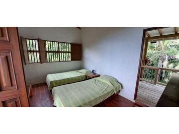 Vendo finca Fredonia Antioquia.