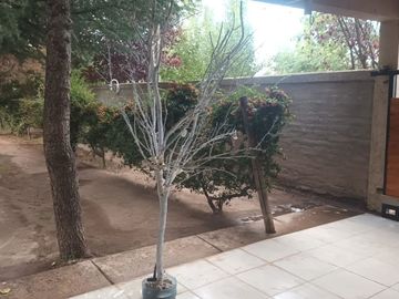 Venta Casa Perdriel Este, Lujan de Cuyo, Mendoza.