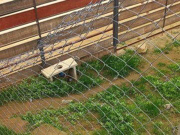 Terreno aterrazado con agua y luz en los MAITENES