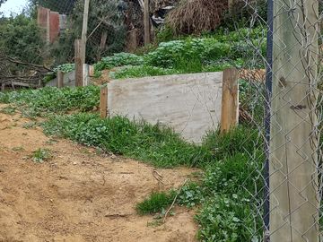 Terreno aterrazado con agua y luz en los MAITENES