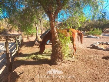 Parcela en Venta en Zafiro