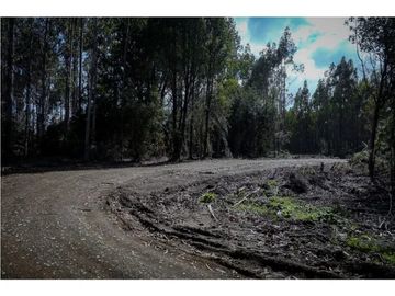 ¡Descubre tu Paraíso en Chiloé!