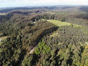 ¡Descubre tu Paraíso en Chiloé!