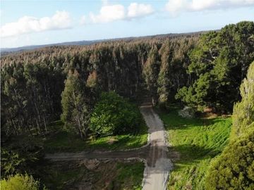 ¡Descubre tu Paraíso en Chiloé!