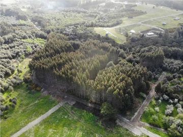 ¡Descubre tu Paraíso en Chiloé!
