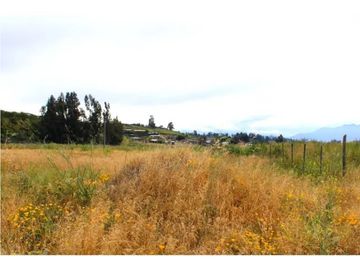 Venta Terreno con Casa en Construcción - Ruaten Bajo, Quillota