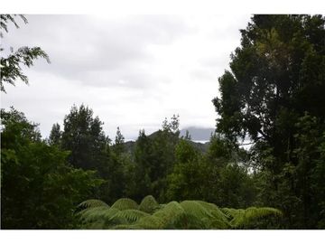 ¡Invierte en la Majestuosa Patagonia!