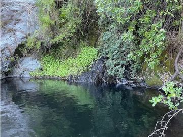 VENTA DE TERRENO EN COLLIGUAY – 122 HS CON AGUA,INFRAESTRUCTURA