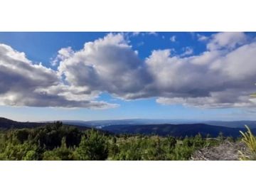 ¡A tan solo 40 km de Valdivia, descubre tu refugio natural!