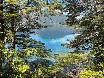 ISLA PRIVADA EN VENTA LAGO LAS ROCAS , COCHAMÓ