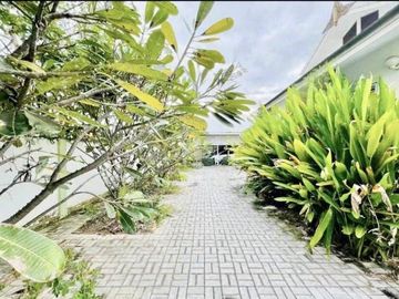 3 Bedroom House for sale in San Phak Wan, Chiang Mai