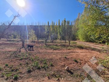 Hectareas a la venta RP17 Añelo