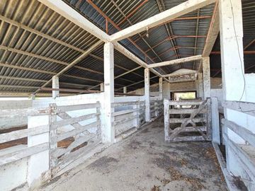 Rancho en venta, de 24 hectáreas, a sólo 15 minutos de Mérida Yuc.