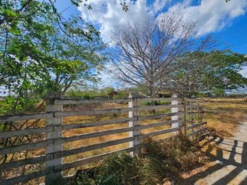 Rancho en venta, de 24 hectáreas, a sólo 15 minutos de Mérida Yuc.
