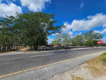 Rancho en venta, de 24 hectáreas, a sólo 15 minutos de Mérida Yuc.