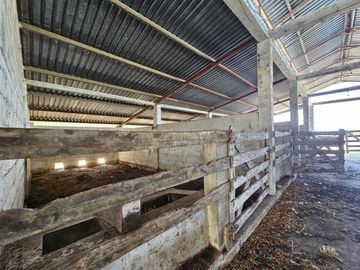 Rancho en venta, de 24 hectáreas, a sólo 15 minutos de Mérida Yuc.