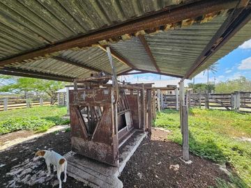 Rancho en venta, de 24 hectáreas, a sólo 15 minutos de Mérida Yuc.